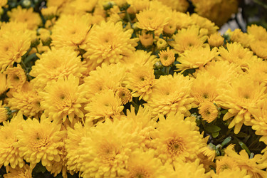 Similar image 21120601