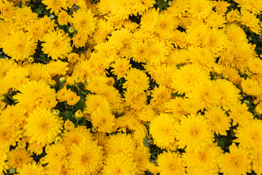 Similar image 21120602