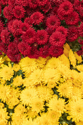 Similar image 21120605