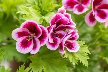 Similar image 21120607