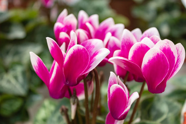 Similar image 21120719