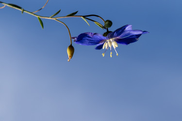 Similar image 21120722