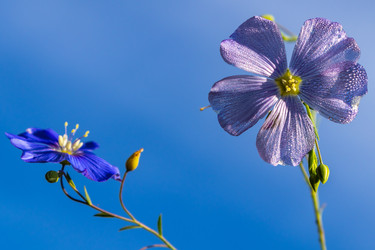 Similar image 21120723