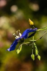 Similar image 21120726