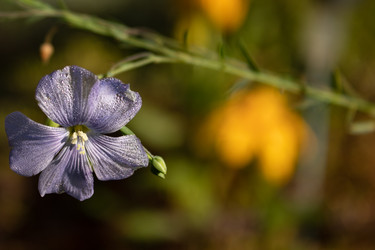 Similar image 21120727