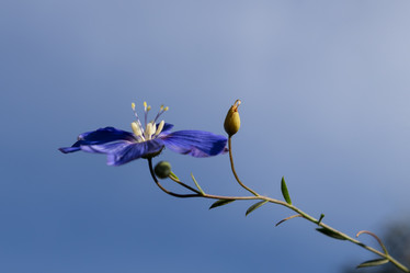 Similar image 21120729