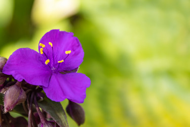 Similar image 21120732