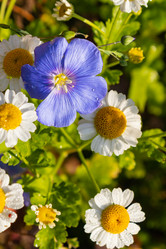 Similar image 21120734