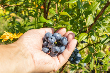 Similar image 21120737