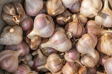 Similar image 21120738