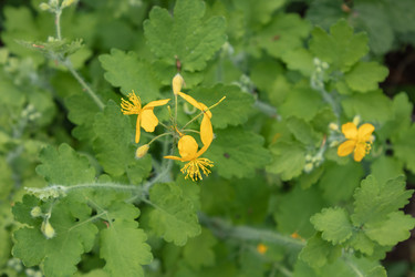 Similar image 21121094