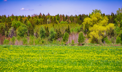 Similar image 21101756