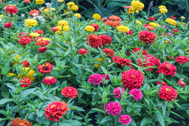 Similar image 21080821