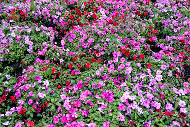 Similar image 21080824