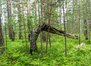 Similar image 21080826