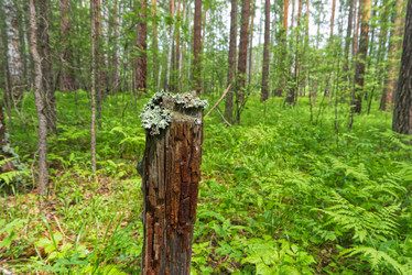 Similar image 21080827