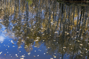 Similar image 21094269