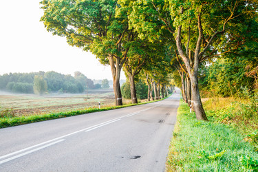 Similar image 21093168