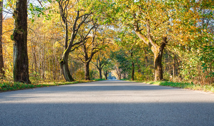 Similar image 21093170