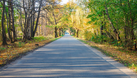 Similar image 21093171