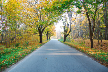 Similar image 21093172