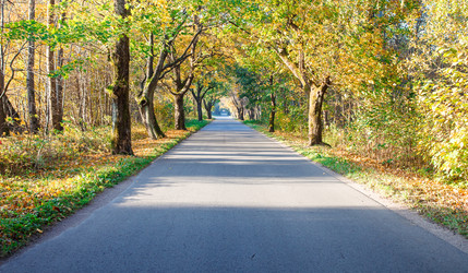 Similar image 21093173