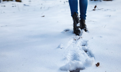 Similar image 21092377