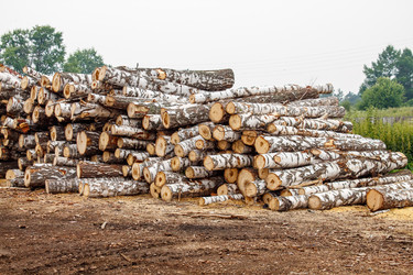 Similar image 21092410