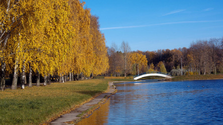 Similar image 21085307