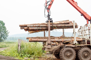 Similar image 21091703