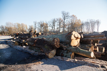 Similar image 21091706