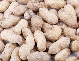 Similar image 21097056