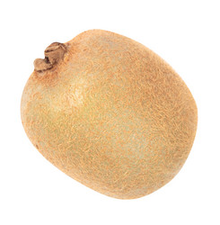 Similar image 21097057