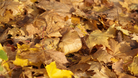 Similar image 21095768