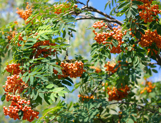 Similar image 21095774