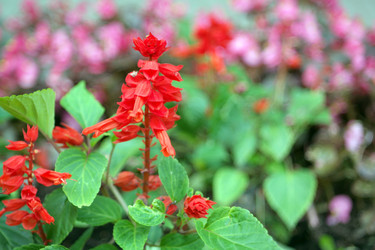 Similar image 21095777