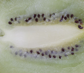 Similar image 21095778