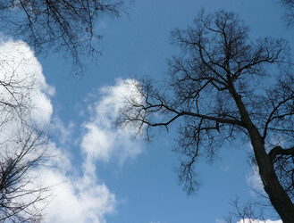 Similar image 21095779