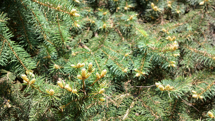 Similar image 21096929