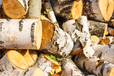 Similar image 21092470