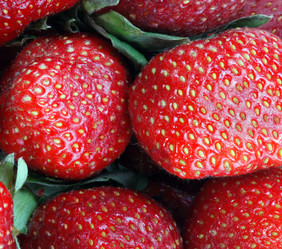 Similar image 21097613