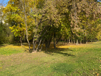 Similar image 21097619