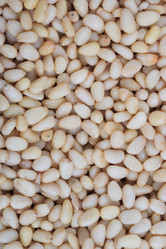 Similar image 21095260