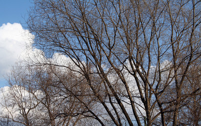 Similar image 21095781