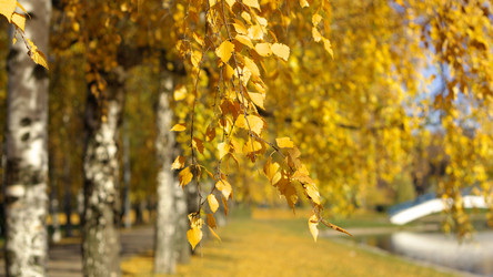 Similar image 21095788