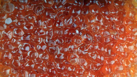 Similar image 21095791