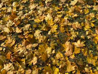 Similar image 21097074