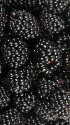 Similar image 21097082