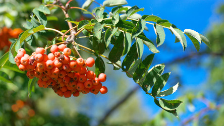 Similar image 21097083