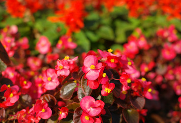 Similar image 21097084